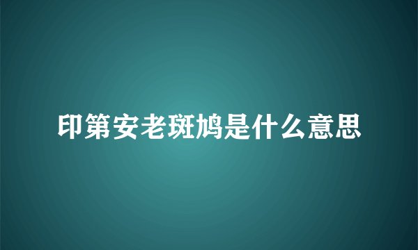 印第安老斑鸠是什么意思