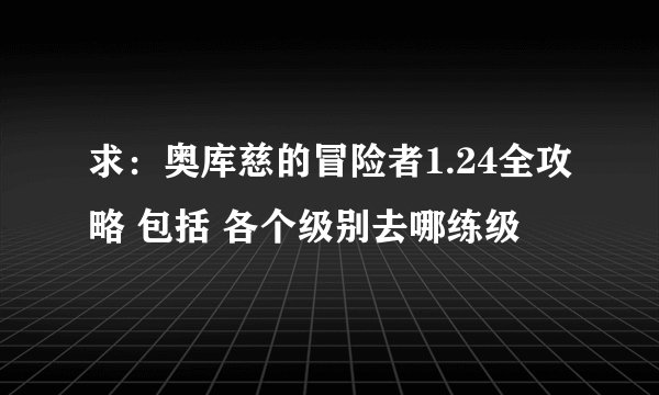 求：奥库慈的冒险者1.24全攻略 包括 各个级别去哪练级