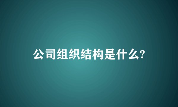 公司组织结构是什么?