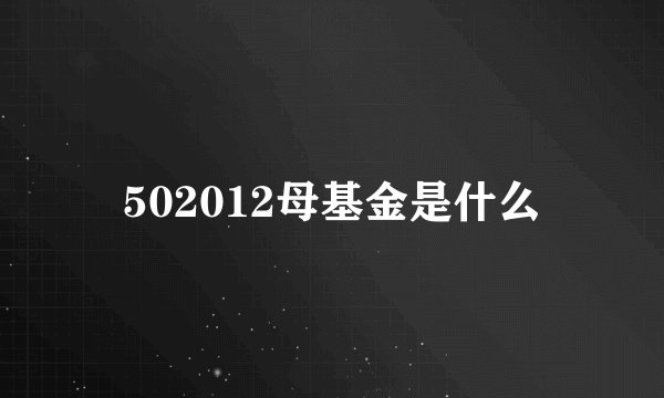 502012母基金是什么