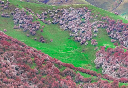 清明节适合旅游的地方？