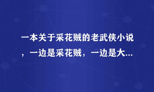 一本关于采花贼的老武侠小说，一边是采花贼，一边是大侠，女的成立一个联盟来对抗这个采花贼