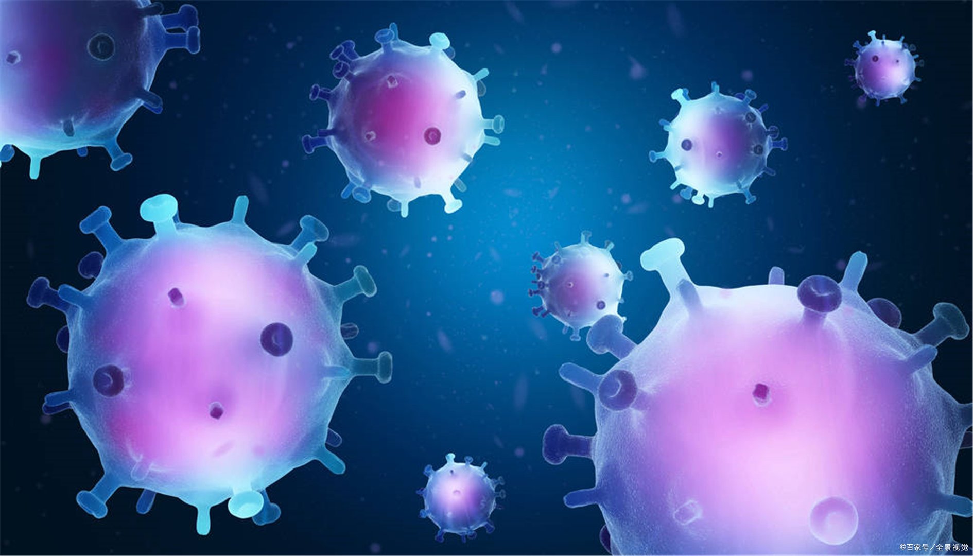 石家庄快递行业暂停收派件业务，当地的疫情到底有多严峻？