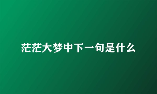 茫茫大梦中下一句是什么