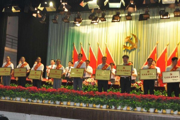 谁知道今天建党90周年大会里面表彰优秀党员、党务工作者颁奖时候放的背景音乐是什么啊？哪里有下载？