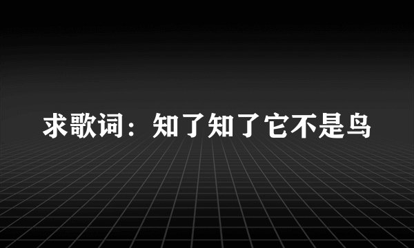 求歌词：知了知了它不是鸟