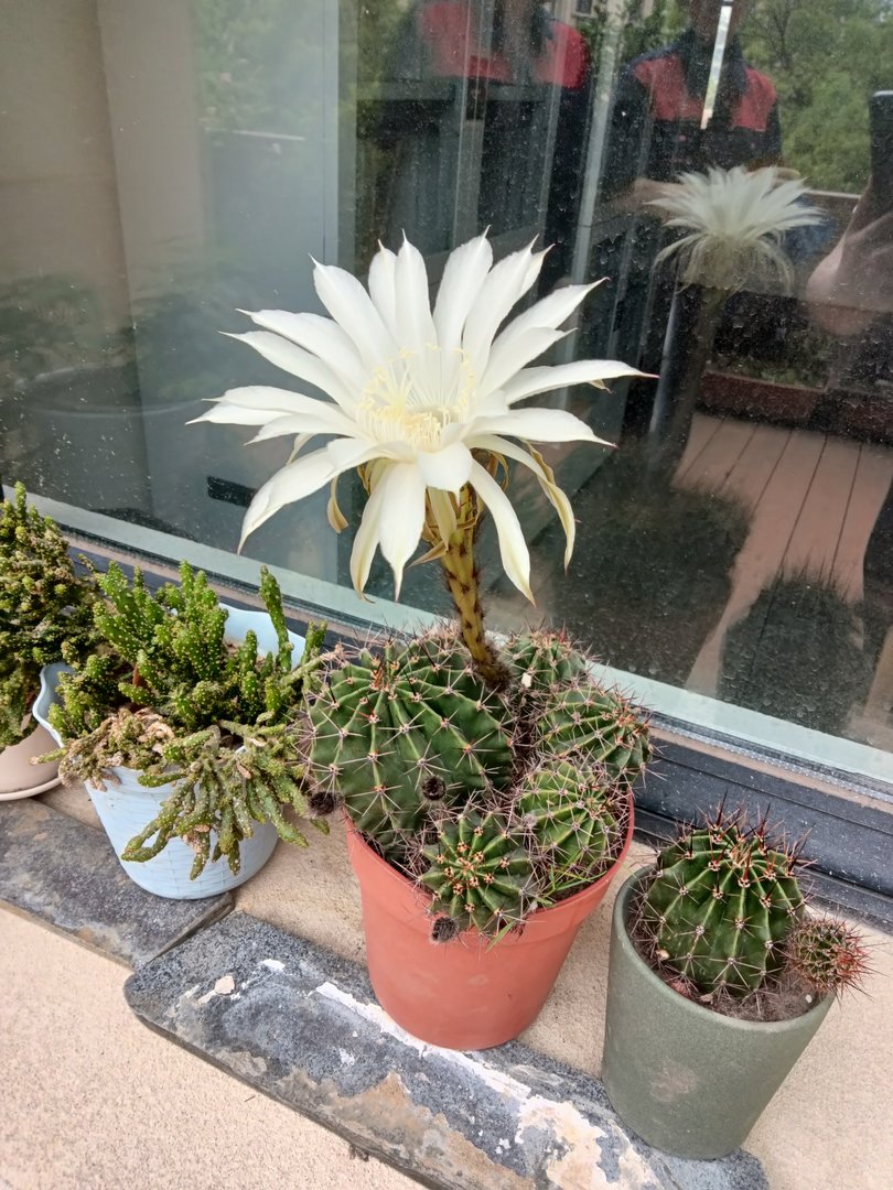 去北京7日游大约的花多少钱？