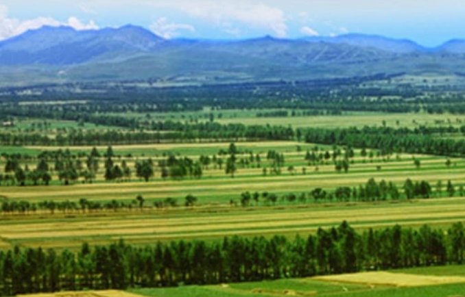 三北防护林是哪三北？