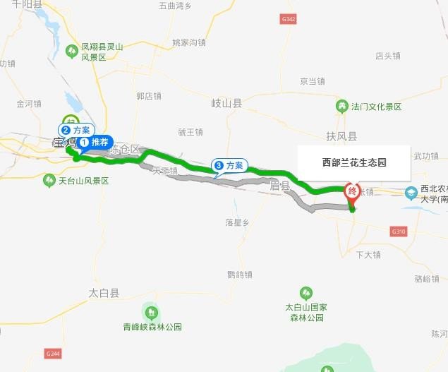 西部兰花园从宝鸡怎么走？