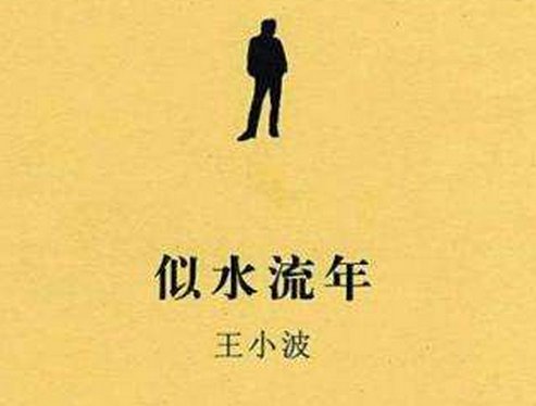王小波的似水流年是写什么的