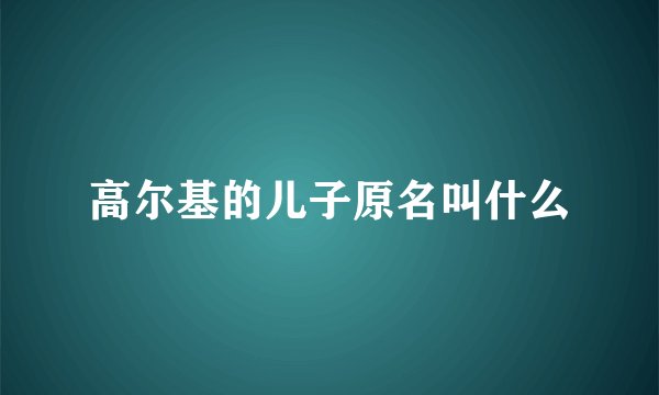 高尔基的儿子原名叫什么