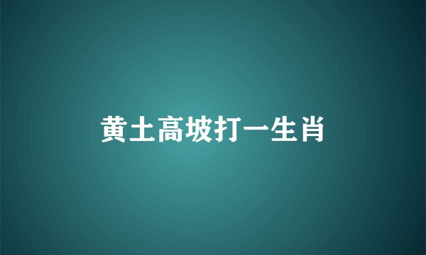 黄土高坡打一生肖