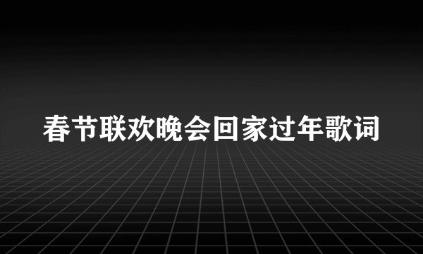 春节联欢晚会回家过年歌词