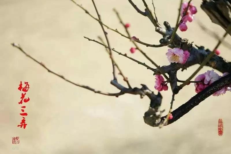 《阳关三叠》是什么朝代的琴曲?