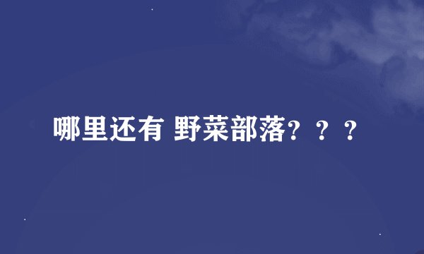哪里还有 野菜部落？？？