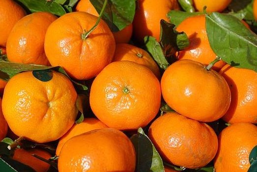 嫌托运贵4男子当场吃完60斤橘子，这种行为会不会给肠胃造成负担？