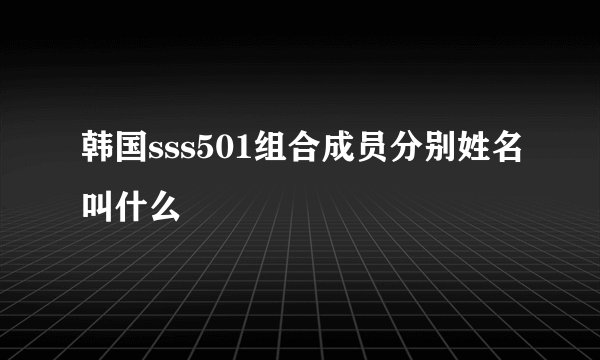 韩国sss501组合成员分别姓名叫什么