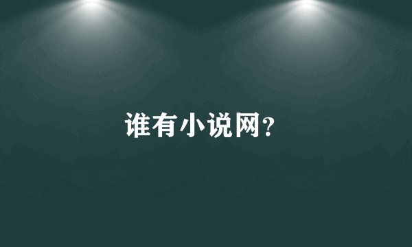 谁有小说网？
