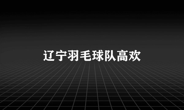 辽宁羽毛球队高欢
