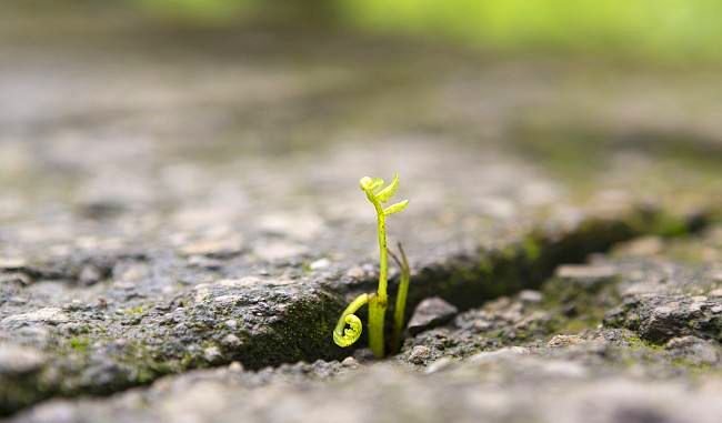 被查酒驾跳河身亡，这种行为是不是太偏激了？