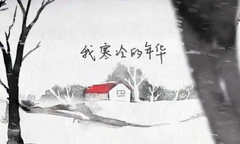 斑马斑马表达了什么意思？