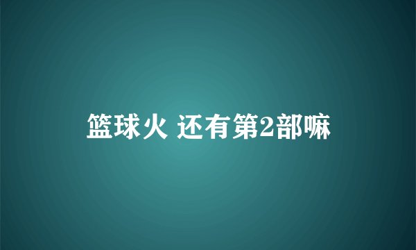 篮球火 还有第2部嘛
