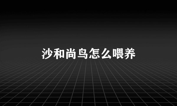 沙和尚鸟怎么喂养