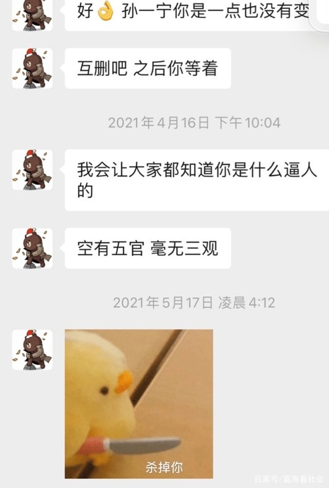 孙一宁曝光王思聪聊天截图，男方求爱被拒恼羞成怒，信息量大，你怎么看？