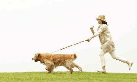 徽州宴现在怎么样了？