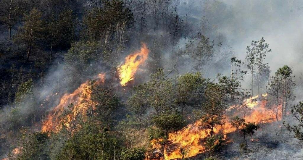 贵州西江千户苗寨景区失火，发生火灾的主要原因是什么？