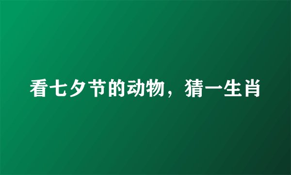 看七夕节的动物，猜一生肖