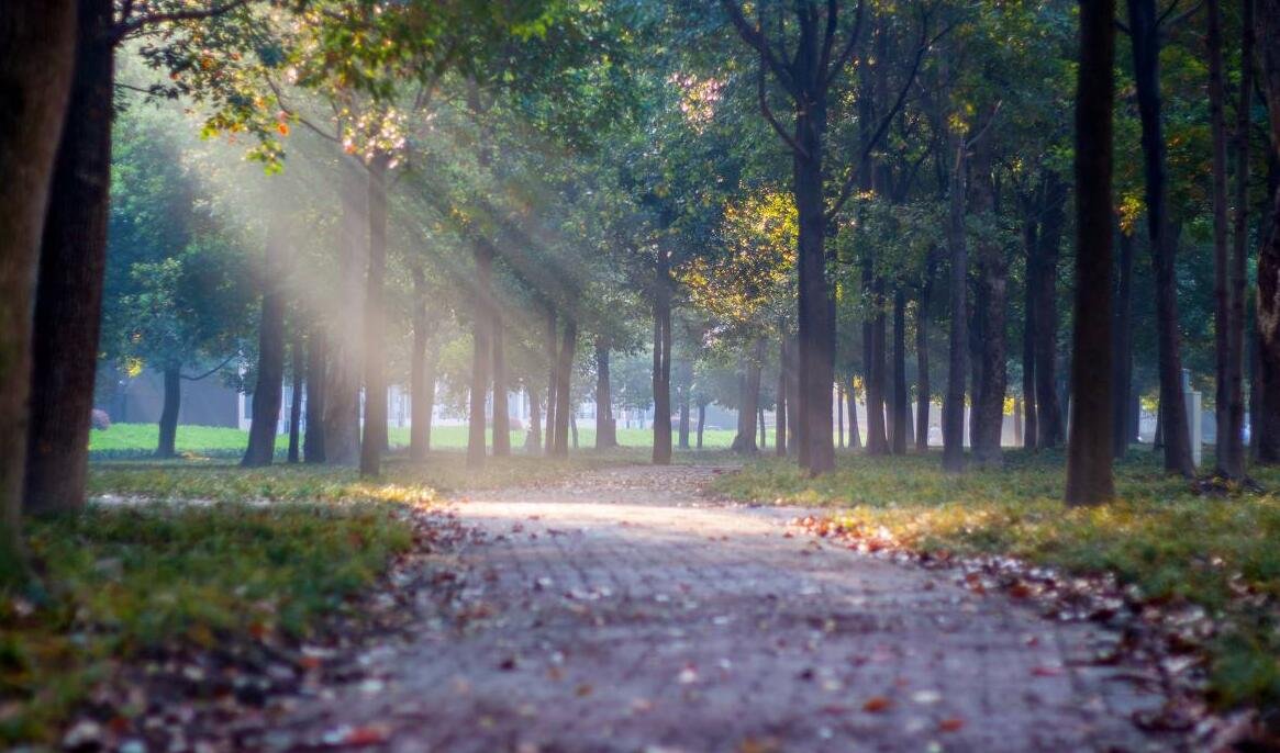 阳光温热，岁月静好什么意思