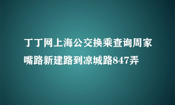 丁丁网上海公交换乘查询周家嘴路新建路到凉城路847弄