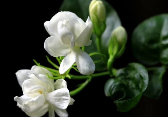 李荣浩让粉丝往死里夸自己，有趣的灵魂是怎样的？