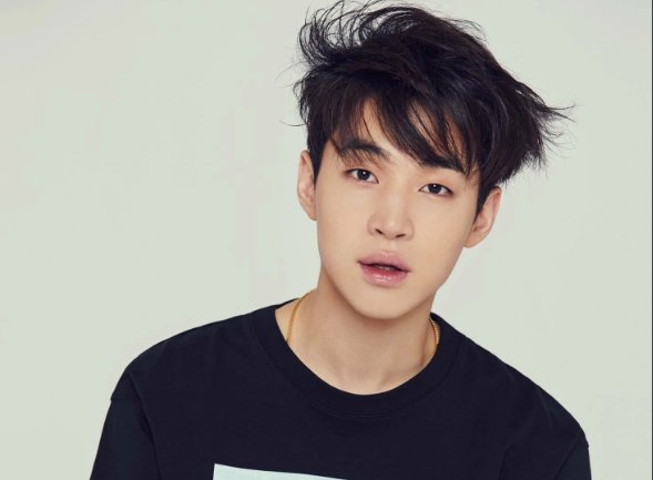 刘宪华为什么退出向往的生活