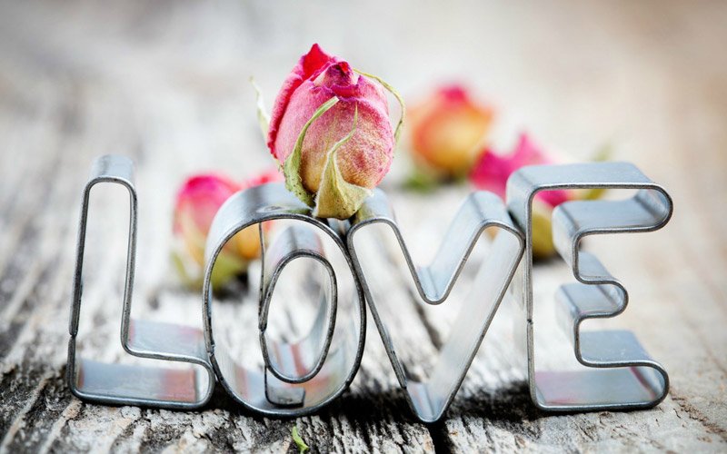 夜盛霆沈安然的小说叫什么？