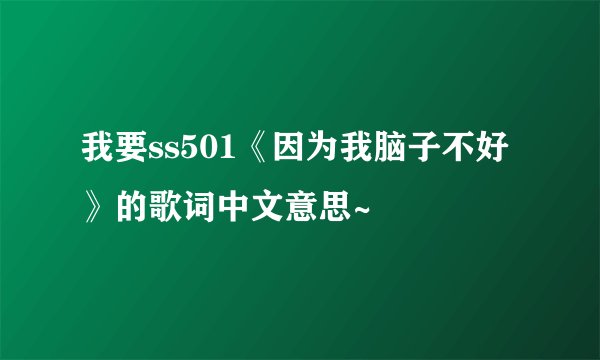 我要ss501《因为我脑子不好》的歌词中文意思~