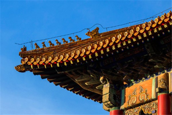 人从众！大年初一故宫迎首批游客，为何大家对故宫情有独钟？