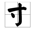 给“寸”字加偏旁，并组词。