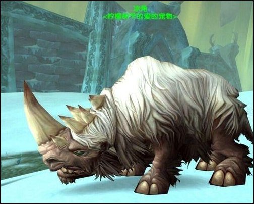 WOW TBC猎人有哪些稀有宠物可以捕捉（旧大陆的不要）