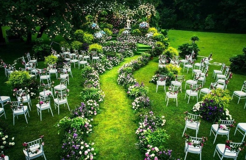 婚礼现场爷爷奶奶亲自送戒指，新郎新娘是何反应？