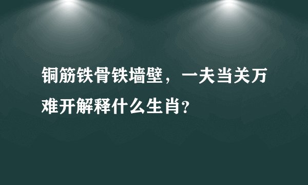 铜筋铁骨铁墙壁，一夫当关万难开解释什么生肖？