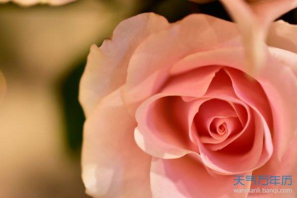 简单好看的网名符号大全好看网名带特殊符号设计