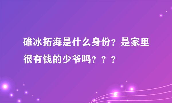 碓冰拓海是什么身份？是家里很有钱的少爷吗？？？