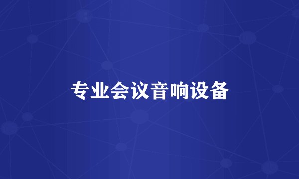 专业会议音响设备