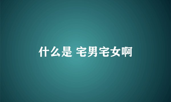 什么是 宅男宅女啊