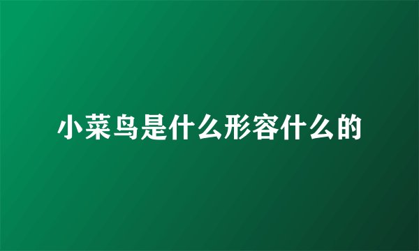 小菜鸟是什么形容什么的