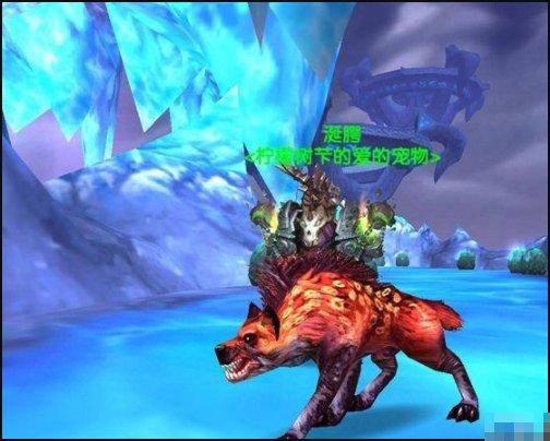 WOW TBC猎人有哪些稀有宠物可以捕捉（旧大陆的不要）