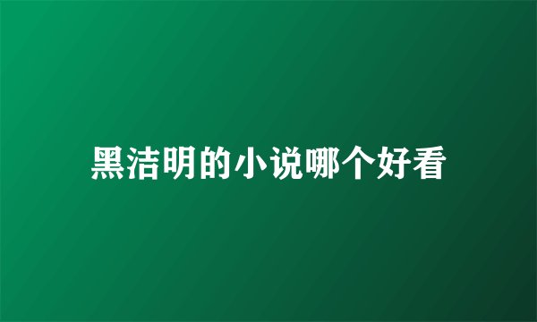 黑洁明的小说哪个好看