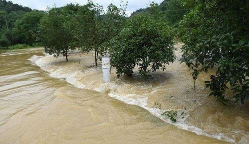 成都大妈洪水中打麻将，大妈会不会有危险？
